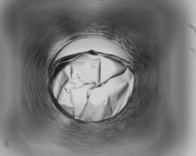 X0000095900005200802081151