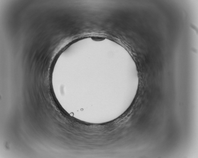 X0000095900008200802081151