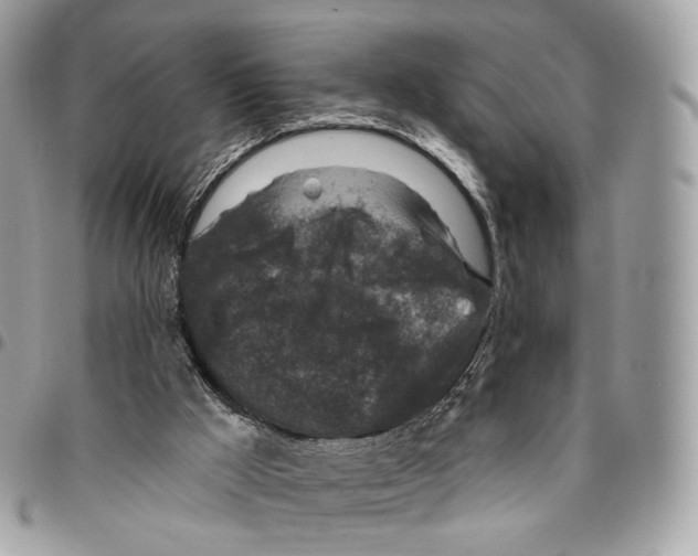 X0000095900009200802081150