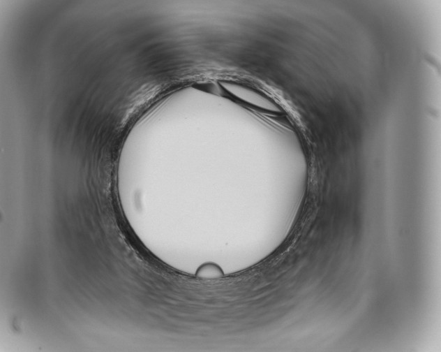 X0000095900010200802081150