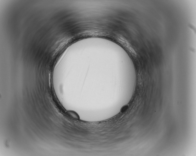 X0000095900014200802081150