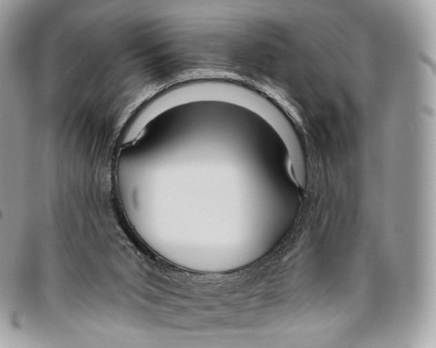 X0000095900015200802081150