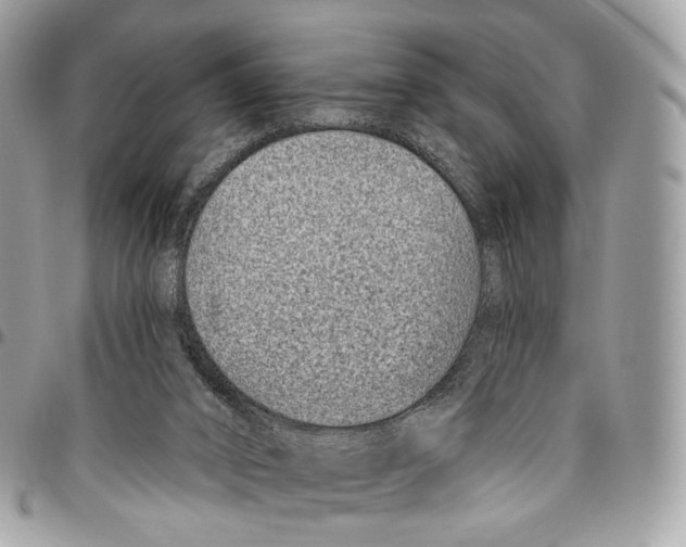 X0000095900016200802081150