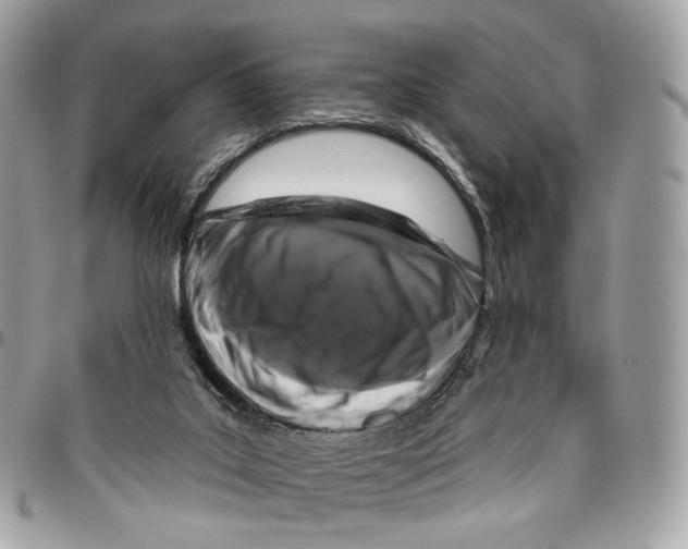 X0000095900019200802081150