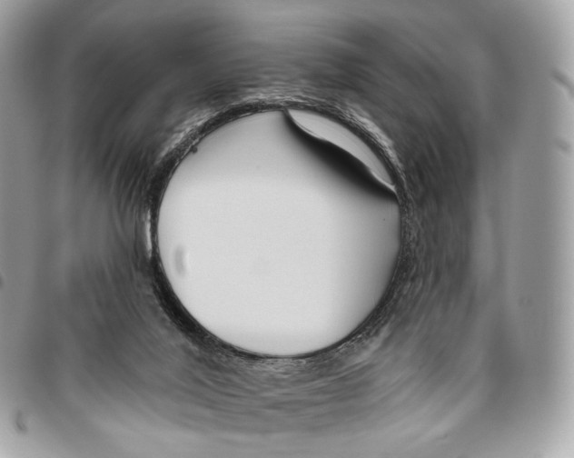 X0000095900020200802081150