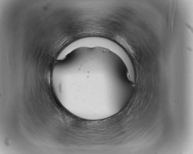 X0000095900021200802081150