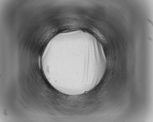 X0000095900022200802081150