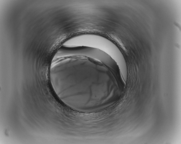 X0000095900023200802081150