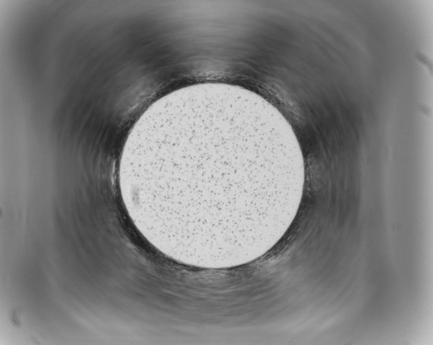 X0000095900024200802081150