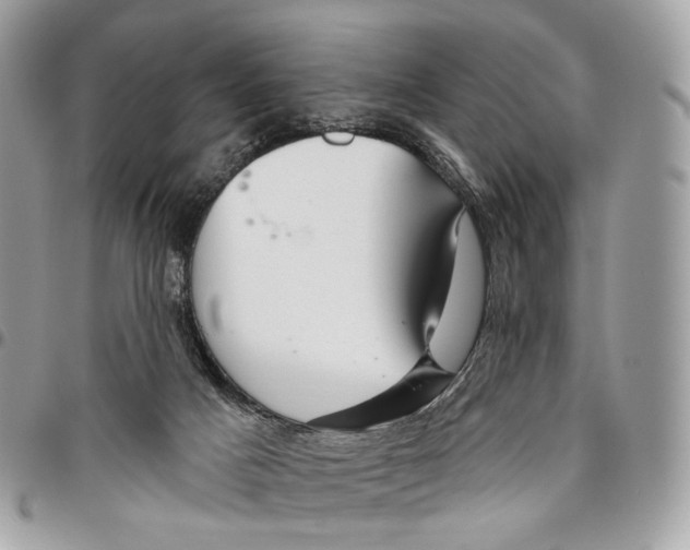 X0000095900025200802081150