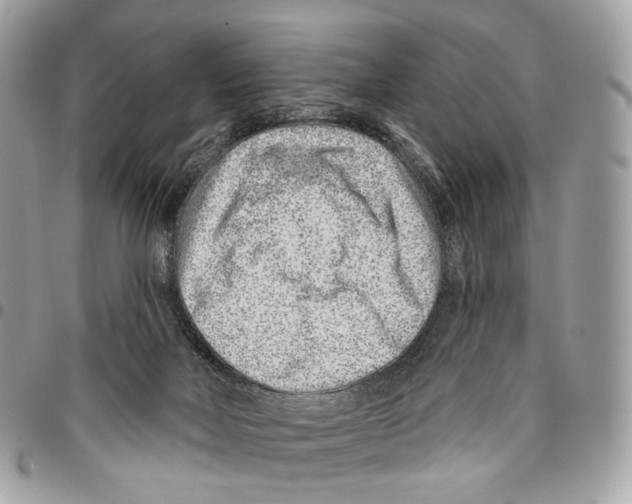 X0000095900026200802081150