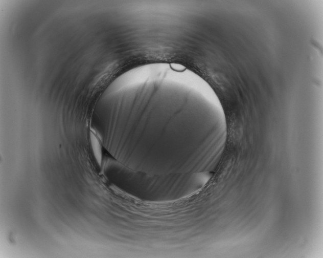 X0000095900027200802081150