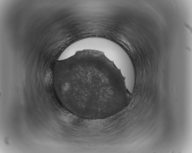 X0000095900029200802081150