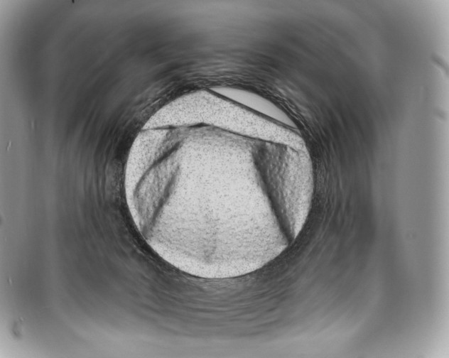 X0000095900030200802081150