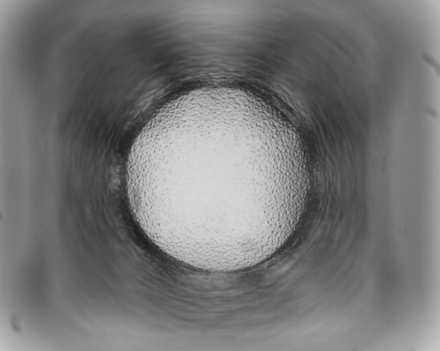 X0000095900032200802081150