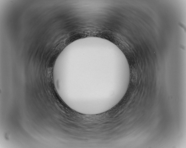 X0000095900034200802081150