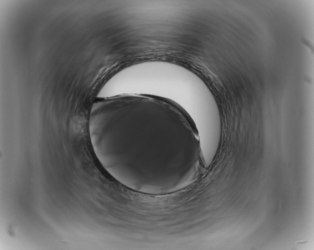 X0000095900035200802081150