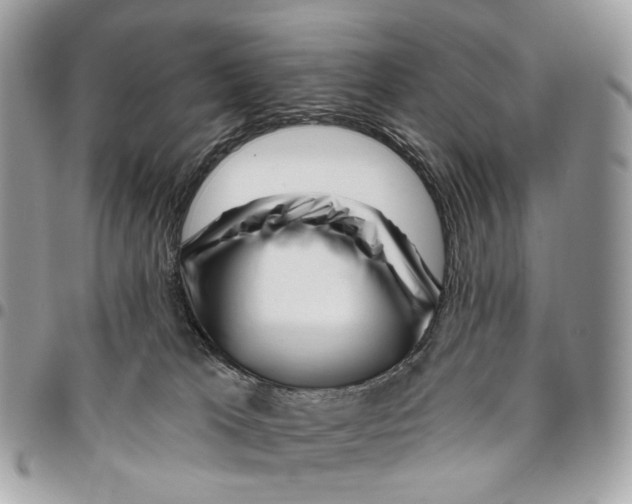 X0000095900037200802081150