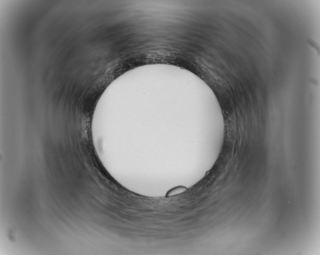 X0000095900038200802081150