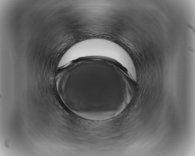 X0000095900039200802081150