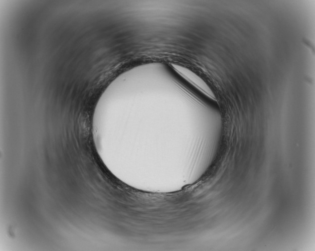 X0000095900040200802081150