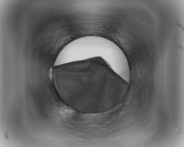 X0000095900041200802081150