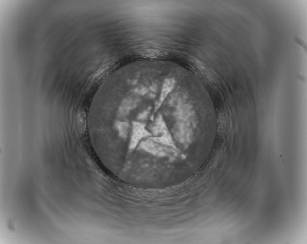 X0000095900043200802081150