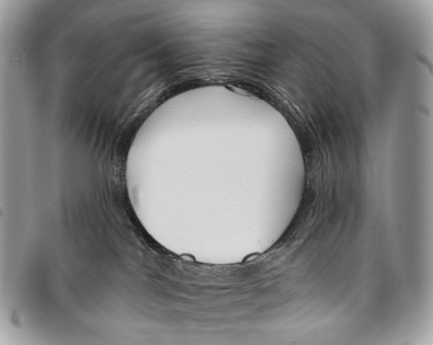 X0000095900044200802081150