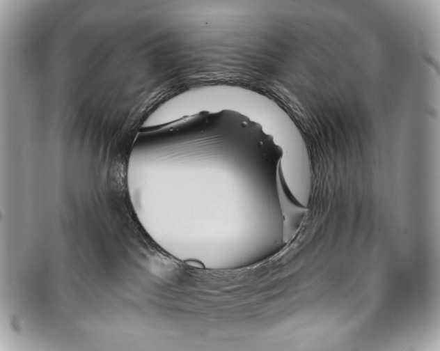 X0000095900045200802081150