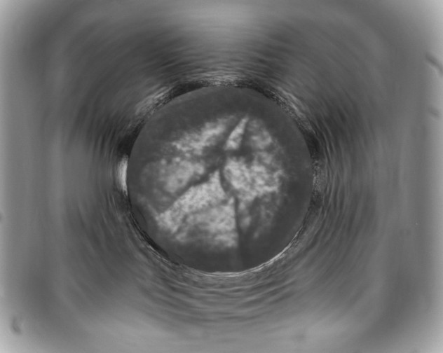 X0000095900047200802081150