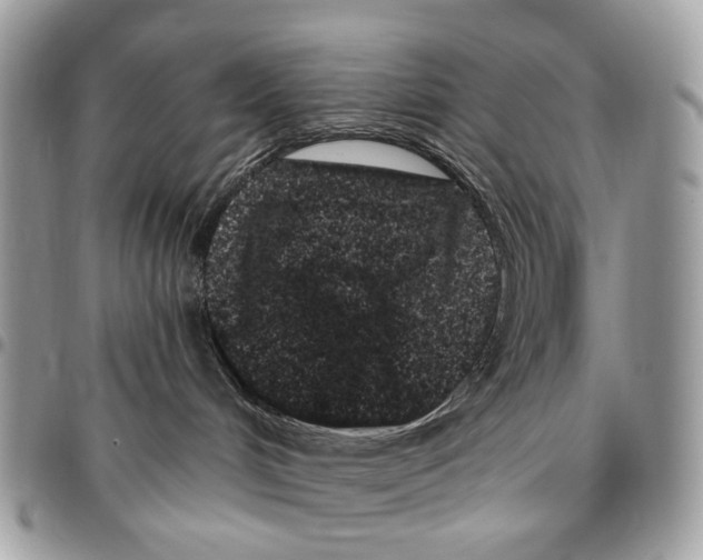 X0000095900048200802081150