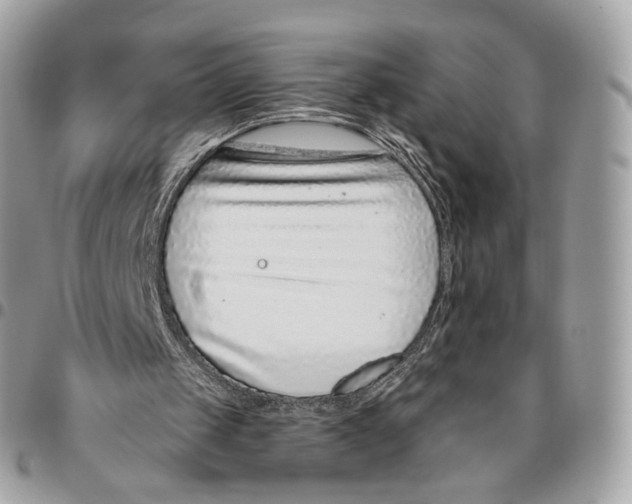 X0000095900049200802081149