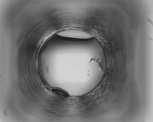 X0000095900050200802081149