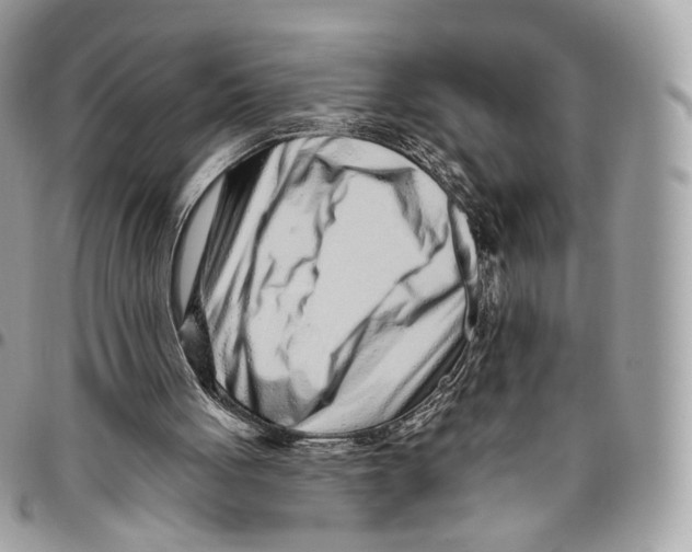 X0000095900051200802081149