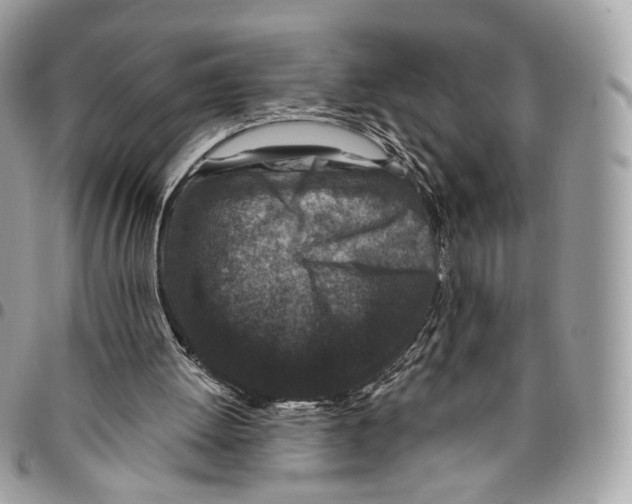 X0000095900052200802081149