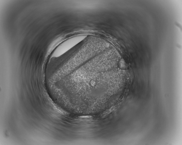 X0000095900053200802081149