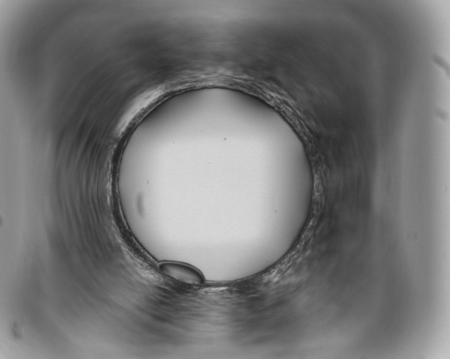 X0000095900054200802081149