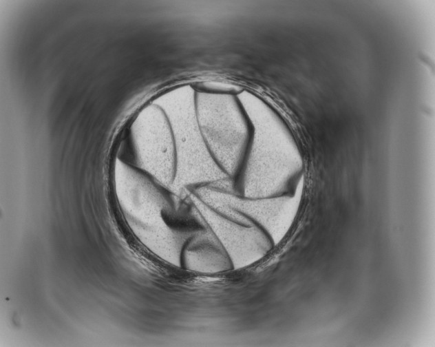 X0000095900055200802081149