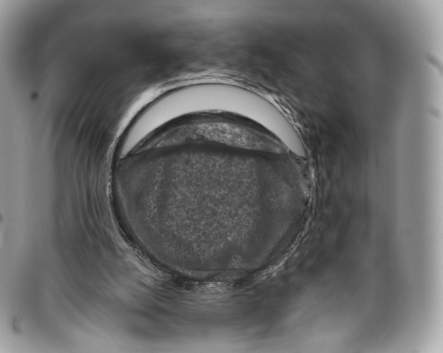 X0000095900056200802081149