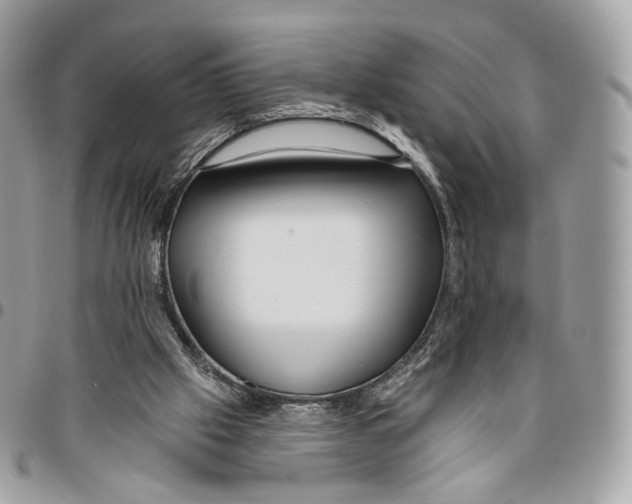 X0000095900057200802081149