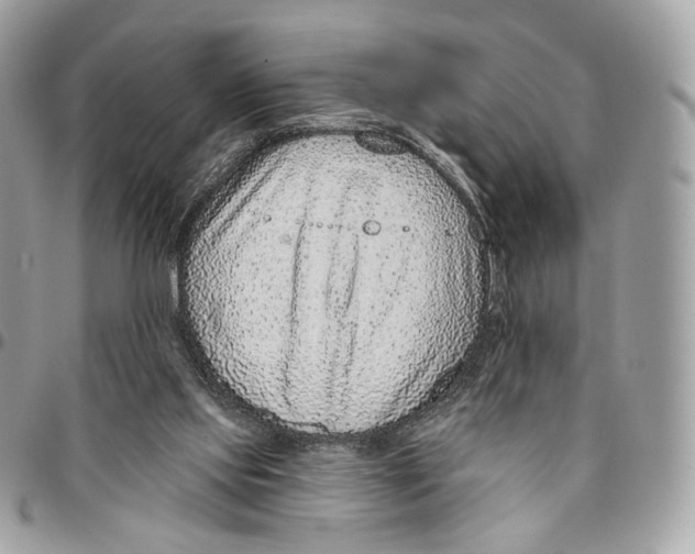 X0000095900061200802081149