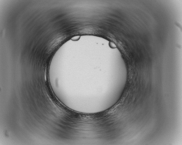 X0000095900062200802081149