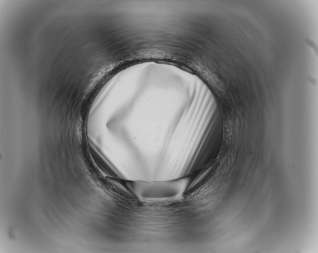 X0000095900064200802081150