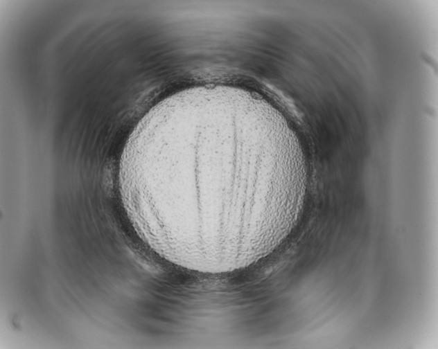 X0000095900065200802081150