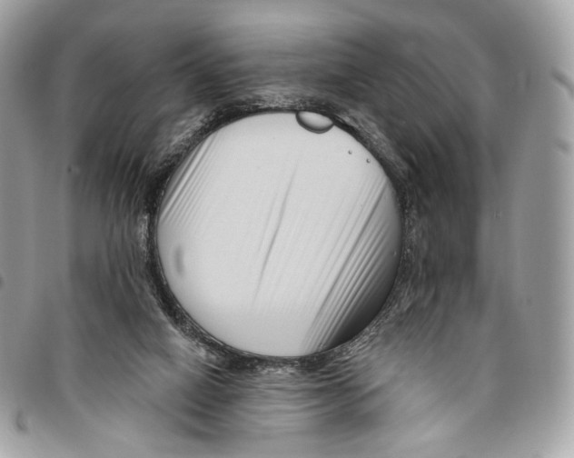 X0000095900066200802081150