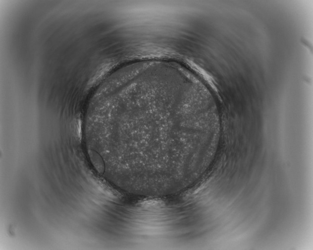 X0000095900067200802081150