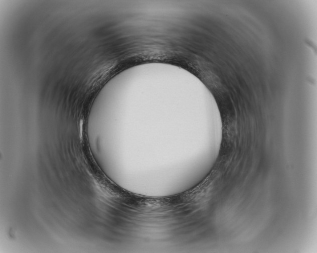 X0000095900070200802081150