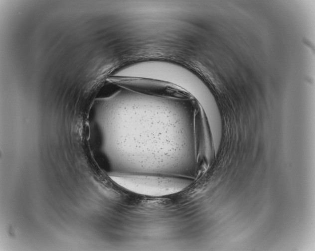 X0000095900072200802081150