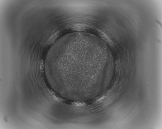 X0000095900073200802081150