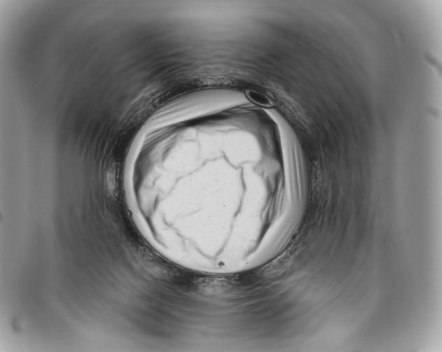 X0000095900074200802081150